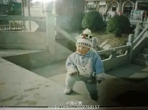 有什么图片电影展示了有你在身后,我敢与天斗的场景