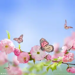 花朵蝴蝶图片
