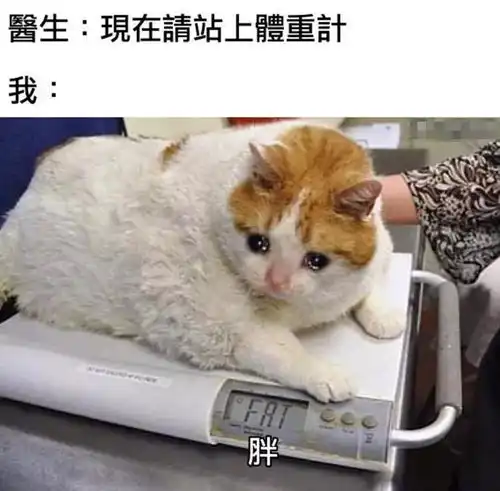 一切都会过去的