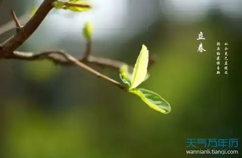春天真的长胖了