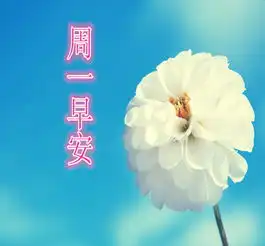 今天大风减弱气温继续回升最高温1219