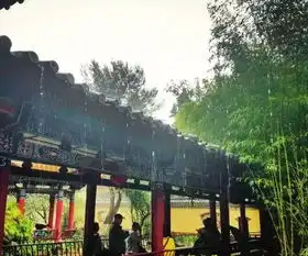 纳凉摘木瓜呼吸新鲜空气...昆明这个藏在闹市的秘境你去过吗
