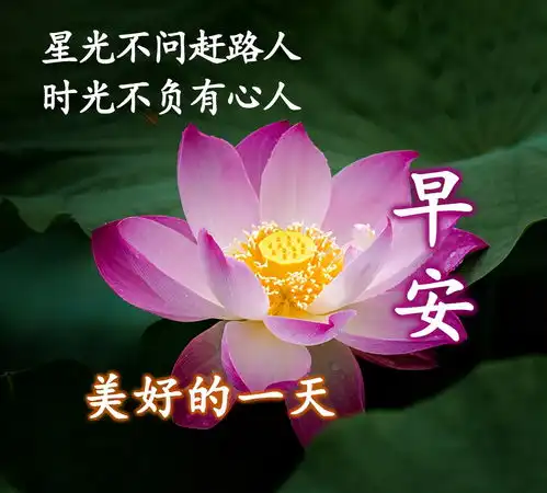 早上好唯美图片朋友圈早安精致短句特别漂亮的早上好动态图