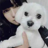 优雅个性qq女生头像