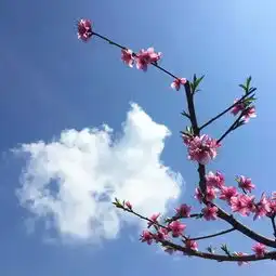 这个假期你不到这里,一定会后悔的