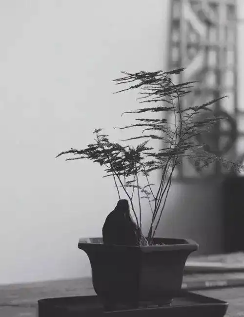 测试一个超长简介的文章
