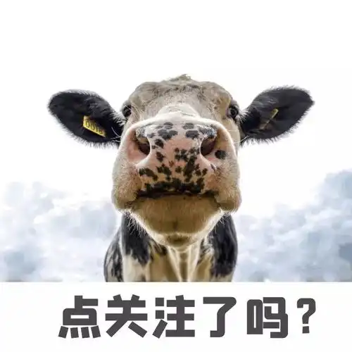 全国爱耳日这些常见育儿习惯对宝宝听力影响很大,你犯了吗