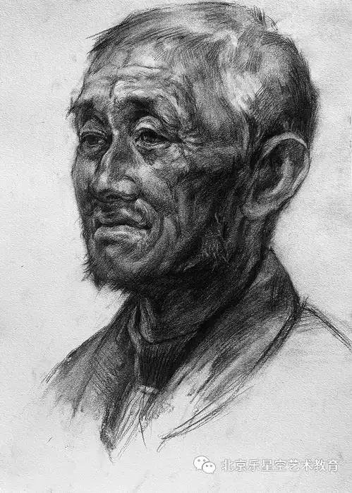 中高考素描头像作品展示丨2020年乐星空中高考秋季班部分素描头像优秀作品展示