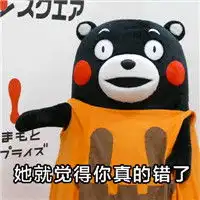 熊本熊带文字的原创表情包你的女朋友为什么生气第二种可能