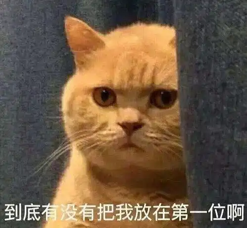 沉迷吸猫,日渐消瘦......至美奇葩校园