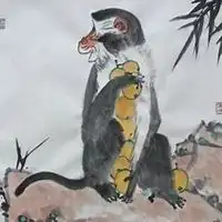 属猴的用啥微信头像微信头像图片大全