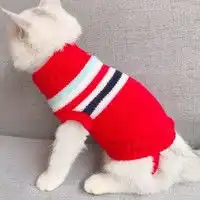 喵先生猫狗通用服饰喵先生宠物狗狗衣服小型犬秋冬季狗衣服泰迪小狗幼犬衣服四脚棉服服装大口袋背带裤l码建议812斤内多少钱