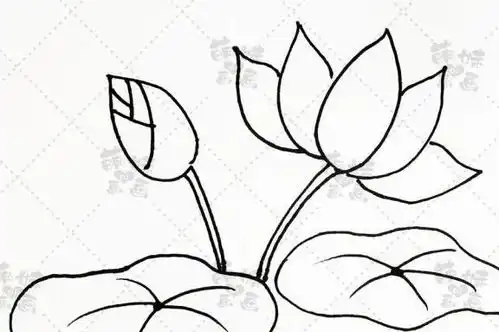 简单易学夏天主题素材简笔画大全,画在手抄报或手账本上吧