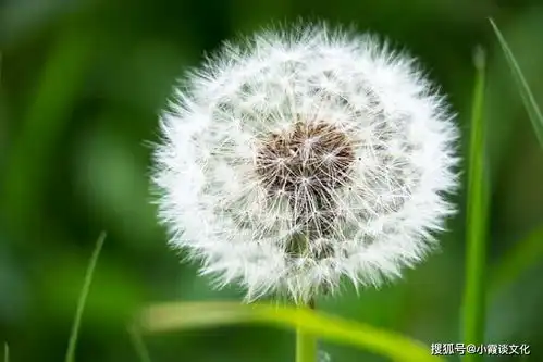 经典励志短语,相信,生活从来都不会辜负一个想要变好的人