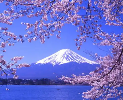 跟着爸爸去富士山日本旅游散文日本我们来了