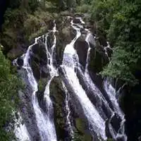 高山流水微信头像微信头像图片大全