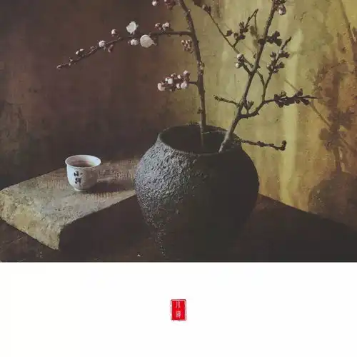 花花朵朵,坛坛罐罐雪小禅最美微刊第三百五十五期
