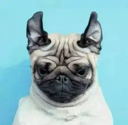 测试一个超长简介的文章