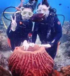 期待已久的长滩岛之旅