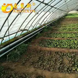 翅片管散热报价厂家