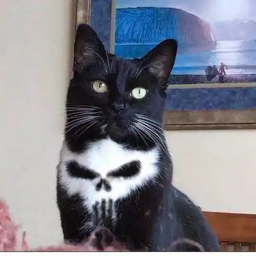 天津相声广播没点儿捧哏基础都不好意思打车