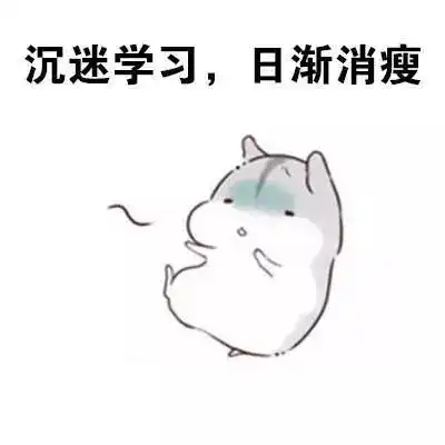 确认过体重,我遇见胖的人