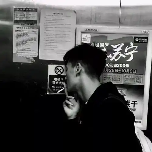 头像又陪了你一年