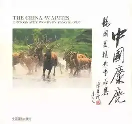 坚持30年拍麋鹿,惊艳了世界,火到了联合国