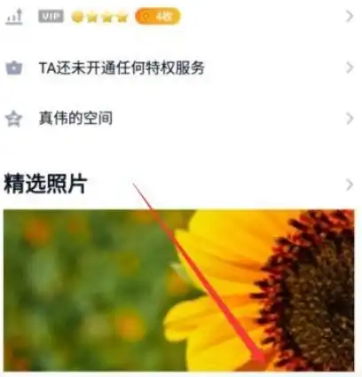 最新版手机qq置顶好友教程