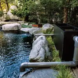 喜欢锦鲤的你修建鱼池时这几点考虑清楚了没有