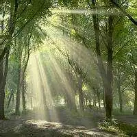 男的微信头像换成风景微信头像图片大全