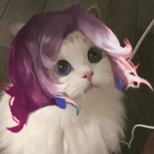 头像王者荣耀化身各种英雄的小猫咪头像第六季