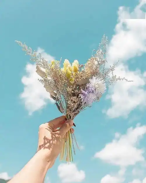 温暖治愈的句子,朋友圈唯美文案
