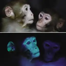 常德日报多媒体数字报刊平台