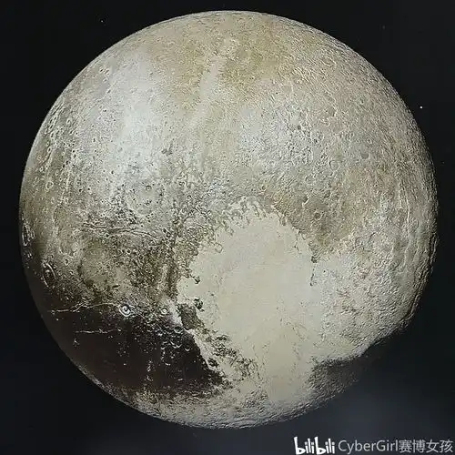 哔哩哔哩专栏