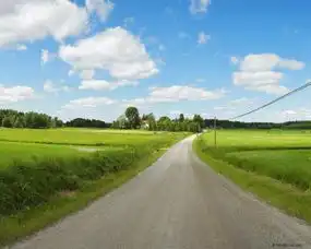 求这张图片的原图