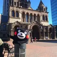 测试一个超长简介的文章