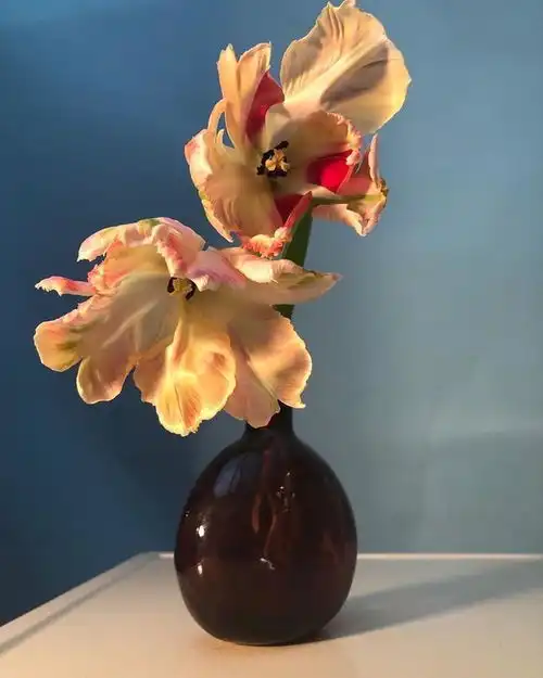 测试一个超长简介的文章