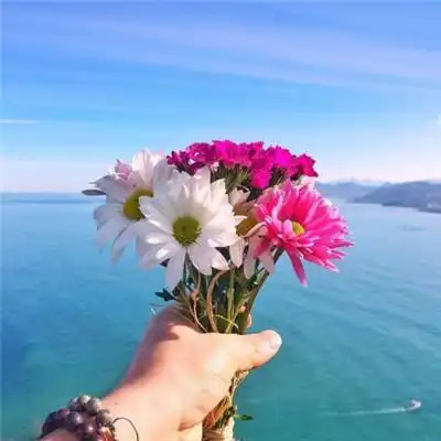 测试一个超长简介的文章