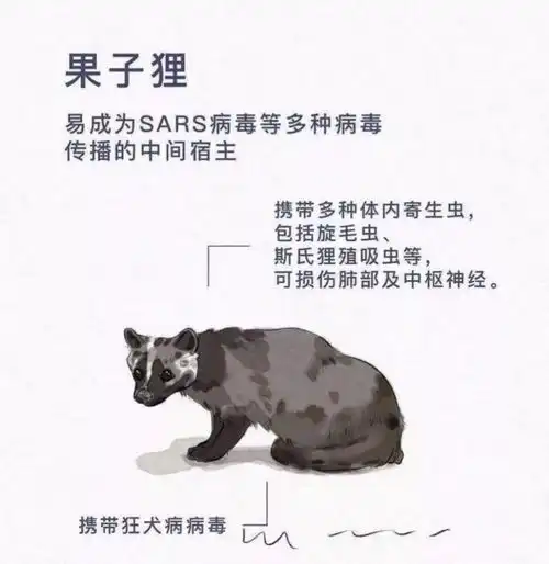 森林公安提示禁止猎杀买卖食用野生动物