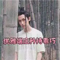 端庄优雅气质表情包微信头像图片大全