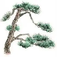 测试一个超长简介的文章