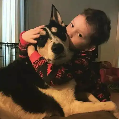 测试一个超长简介的文章
