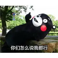熊本熊系列搞怪生气表情包女生的友谊你总是不懂