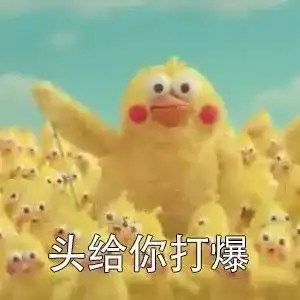 小黄鸡鹦鹉兄弟头像