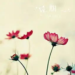 安九的美拍
