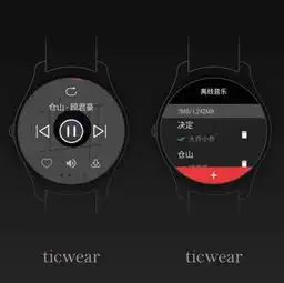 问问手表ticwatch首发体验独立可穿戴设备的音乐app网易云音乐
