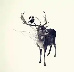 其实,幸福就藏在这9件事里