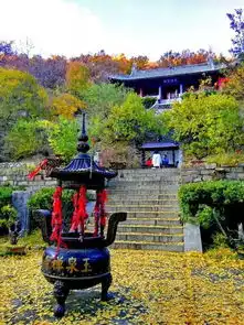 9月22日山东济南泰山曲阜尼山圣境蓬莱烟台青岛.大连旅顺营口红海滩沈阳双飞八天游4980元人
