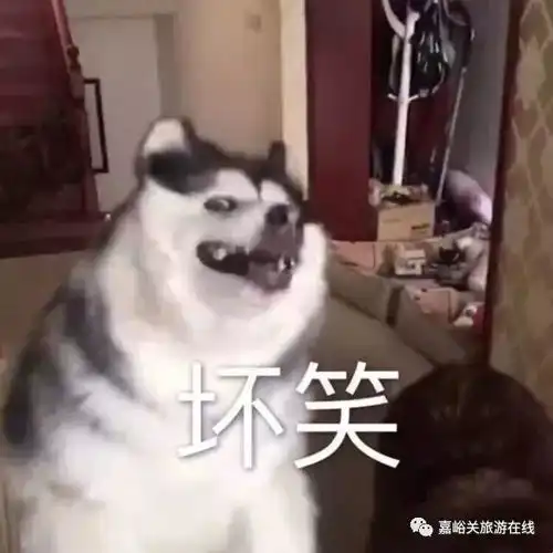 简直不敢相信在甘肃过个年要花这些钱看完哭了